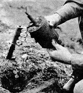DØDELIGE: De såkalte S-minene, eller «Bouncing Betty», var de mest fryktede antipersonell­minene tyskerne brukte under krigen.