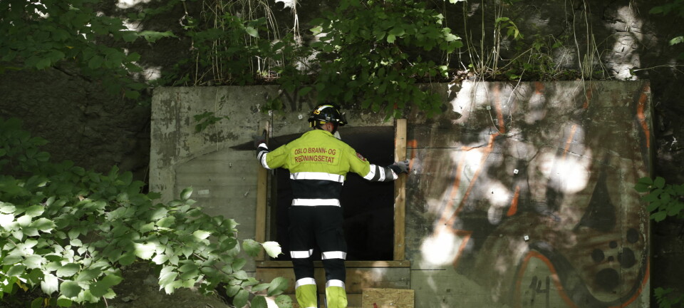 Gikk fryktelig galt: Advarer nordmenn mot dødelig tabbe