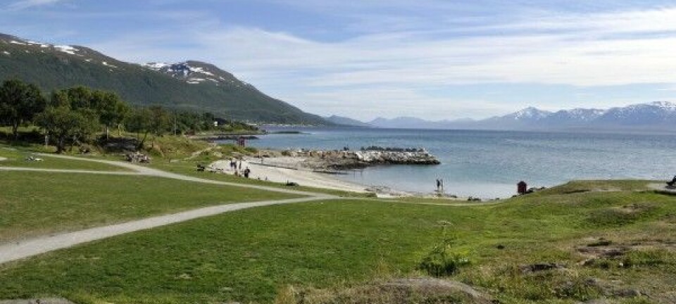 Arvid, Ivar og tvillingene Agnes og Aslaug skulle bare ta en snarvei den vakre maikvelden – da skjedde det ufattelige