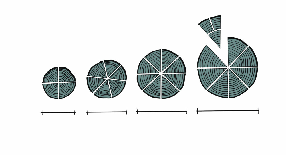 <b>KLØYVING:</b> Hvordan stammen kløyves tar utgangspunkt i diameteren på stammen. Å kløyve i fire eller åtte er mest vanlig. Fra venstre: 100–120 mm, 120–150 mm, 150 – 200 mm, 200- 250 mm.