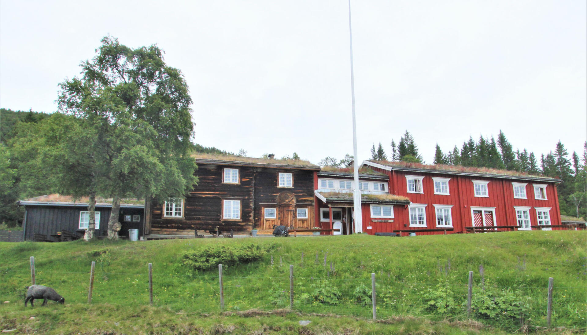 Turtips: Åmotan - spektakulær foss - Villmarksliv