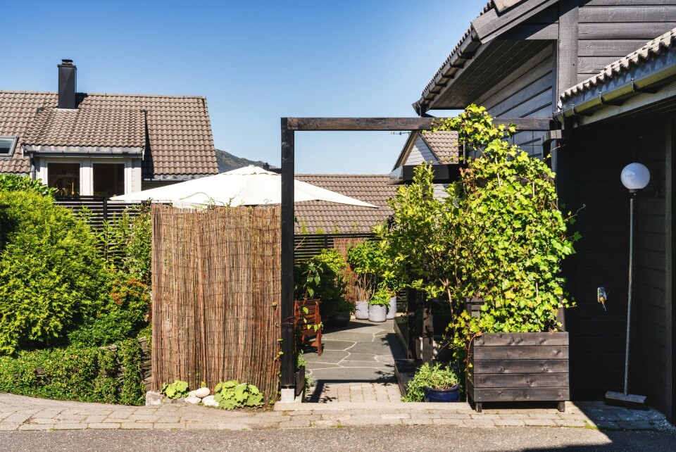 Det skal sies at ektemann Per er mer handy enn de fleste, og bygger og tryller frem de fineste byggverk på bestilling. Dette er fra inngangspartiet hvor eføyen jobber seg oppover portalen. Bambusrullen gir umiddelbar skjerming for de utålmodige og fås rimelig på Rusta.