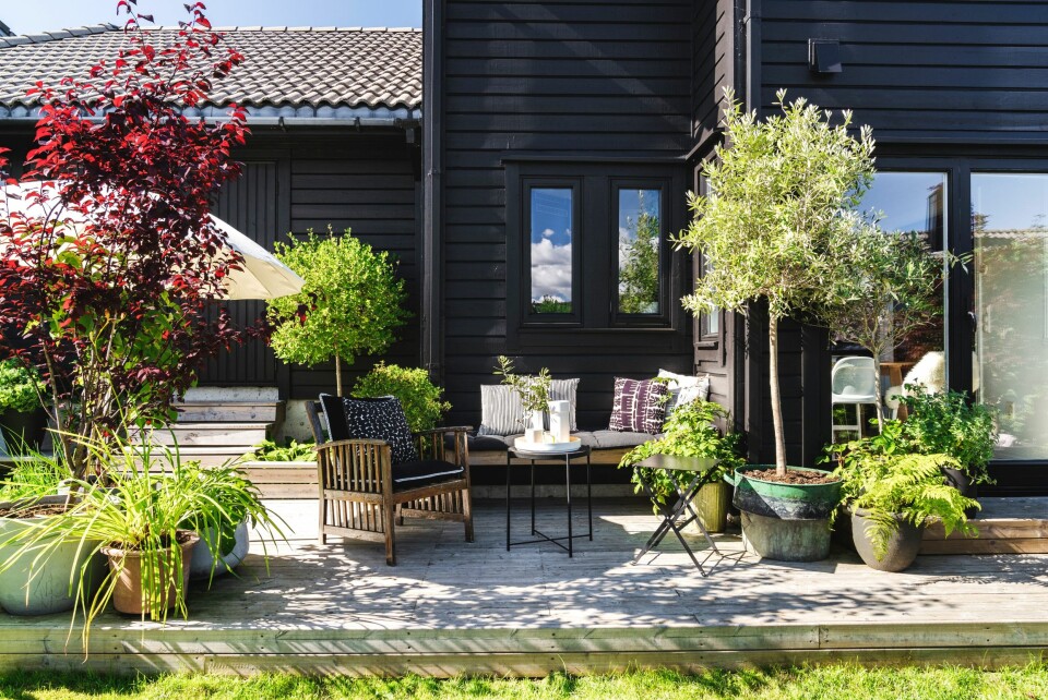 Til høyre ser du de fine terrassedørene som gir fri adgang til hagen. Plattingen har etter hvert blitt veldig frodig og flott med planter som er funnet, fått eller kjøpt på salg.