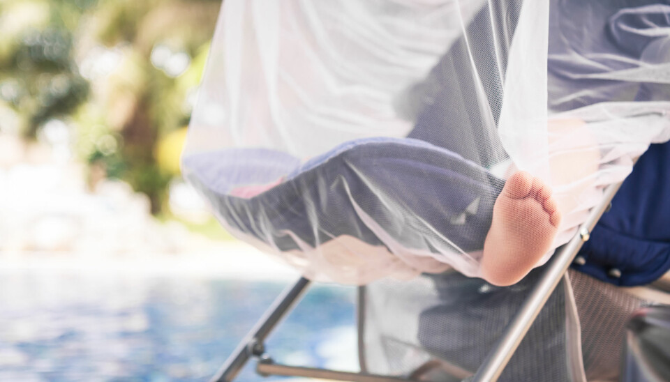 VIKTIG MED LUFTSIRKULASJON: Insektnett og kattenett er fine for å dekke til vognen når barnet sover ute, ifølge eksperten.