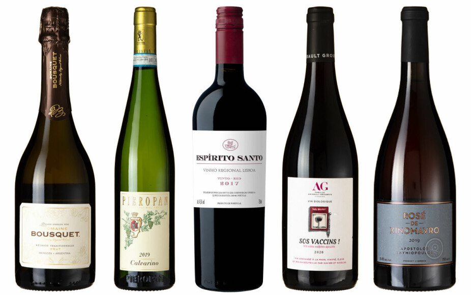 NYHETER: De fem beste nye vinkjøpene på Vinmonopolet.
