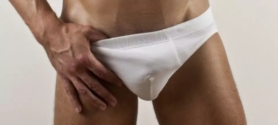 - En bøyd penis er en god penis