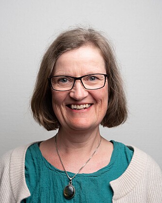 Anne Greve er professor i barnehagepedagogikk, OsloMet.