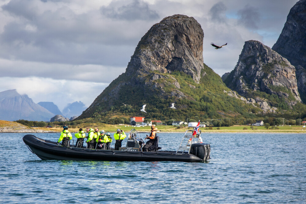 <b>PÅ UTKIKK:</b> Havørnsafari er blitt populært flere steder i landet, som her ved Tomma <br/>på Helgelandskysten.