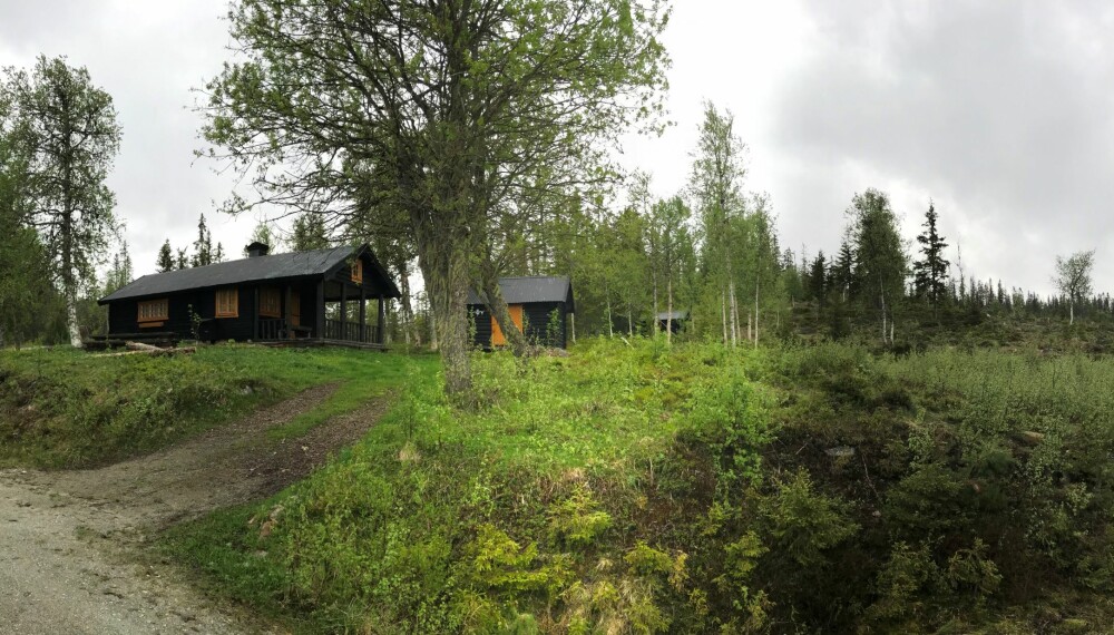 FISHOLT I DAG: I denne hytta losjerte Bjarne Nordby med fire andre skogsarbeidere i dagene før han ble skutt og drept.