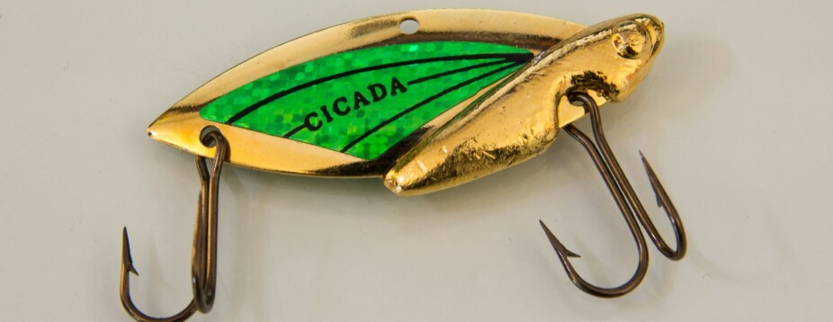 15. Cicada 202 Gold Hot Green, Gull med grønt, 10,63 gram