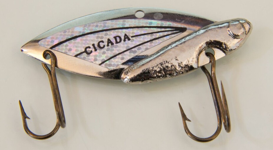 18. Cicada 101 Silver SilverSølv/sølv, 10,63 gram