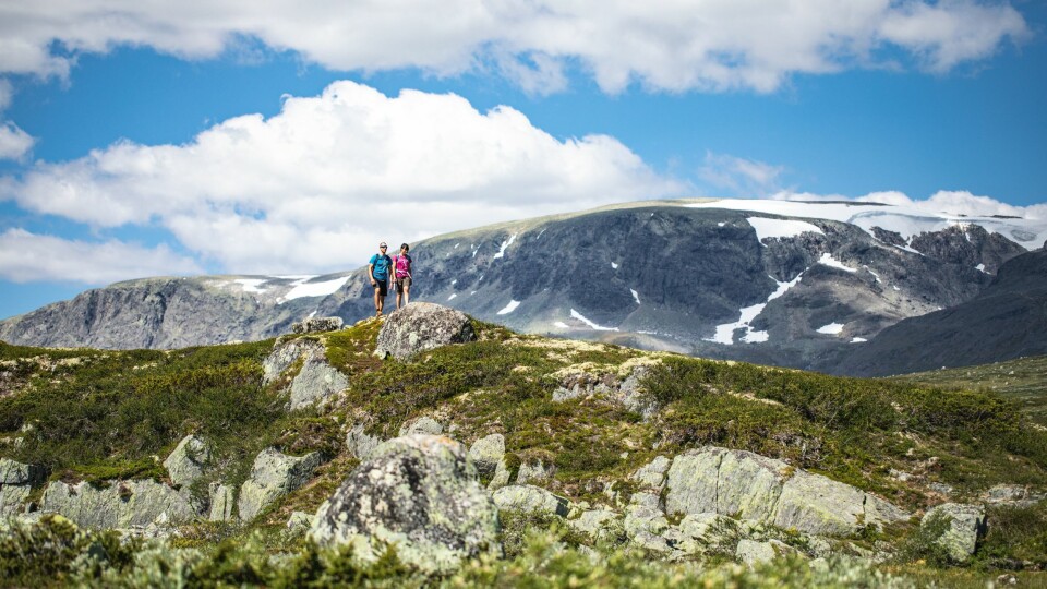 FJELLMASSIV: Platået på Hallingskarvet er cirka 35 km langt og varierer i vidde fra én til fem kilometer.