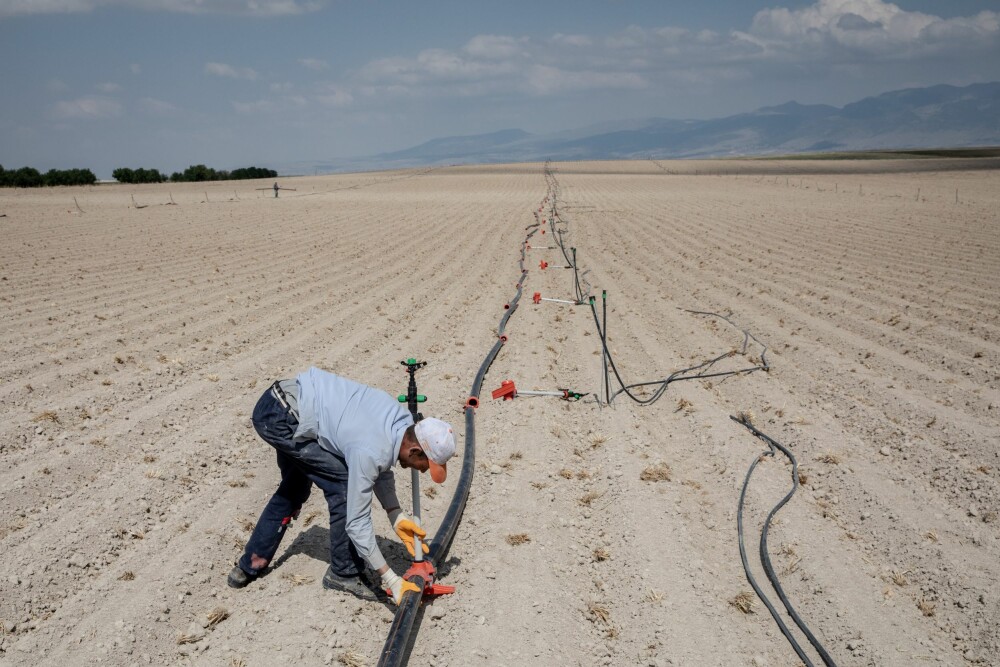 <b>IRRIGERING:</b> En sesongarbeider legger ut rør til kunstig vanning av planter og andre vekster på de knusktørre jordene i Konya, ett av Tyrkias viktigste landbruksområder.  