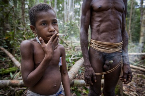 <p class="MSONORMAL" style=""><b>Opp i røyk:</b> Ati Hariatun og hans sønn har fått sigaretter av tømmerhandlere langt inne i jungelen på Papua. Begge er erfarne storrøyker.</p>