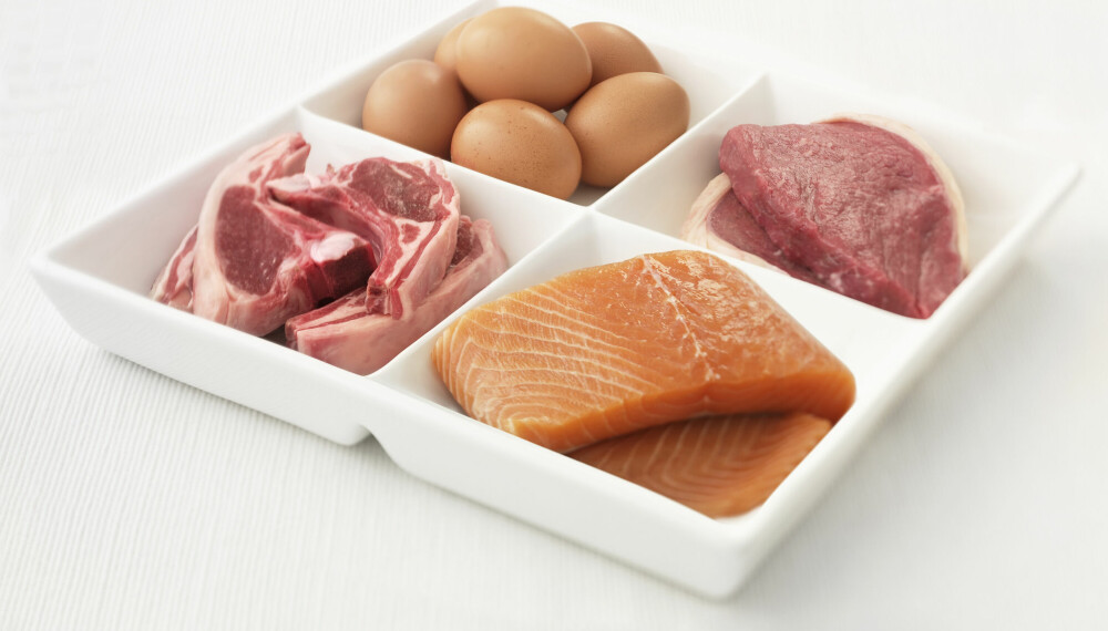 MEAT AND ALL EGGS: The Carnivore diet is based on eating only animal products, says an expert. MEAT AND ALL EGGS: The Carnivore diet is based on eating only animal products, says an expert.