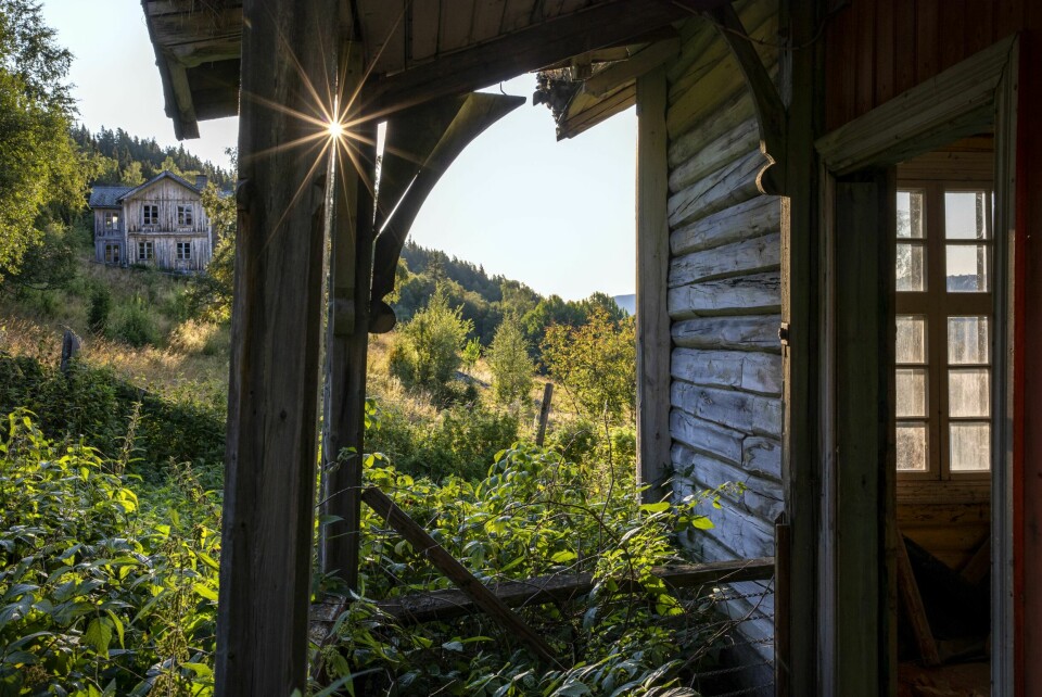 108 ÅR GAMMEL: Utsikt fra den lille skolen. Omgitt av norsk jungel, brennesle, gress og andre vekster, står skolen her omtrent som den sto her for mange tiår siden.