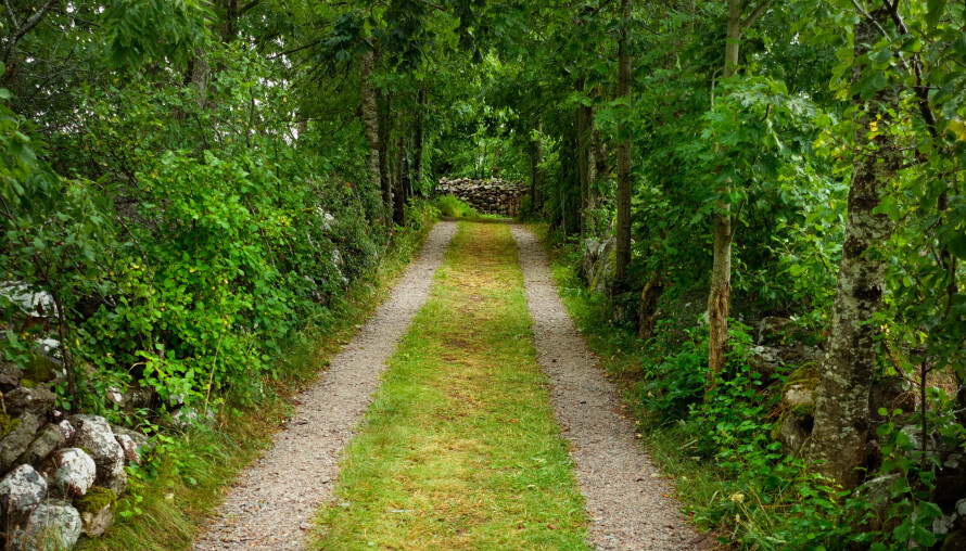 Vi har gitt naboen veirett over vår tomt – nå skal han selge. Følger veiretten hytta?