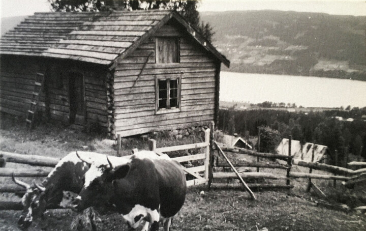 Her bodde småbarnsfaren Nils (25), mannen bak en av de mest grufulle forbrytelsene i fredstid i Norge