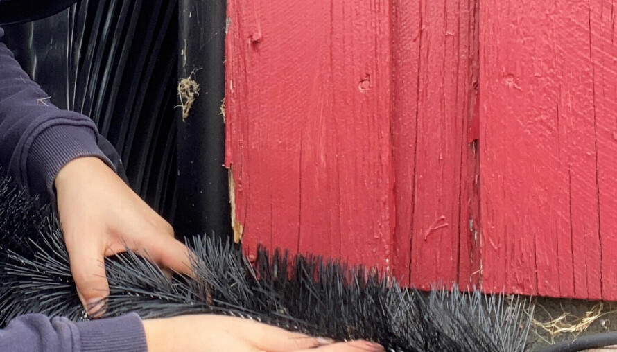 SIKRING: Du kan selv sikre boligen din mot mus og rotter. Blant annet kan du legge inn mus- og rottebørster mellom kledningen og grunnmuren.