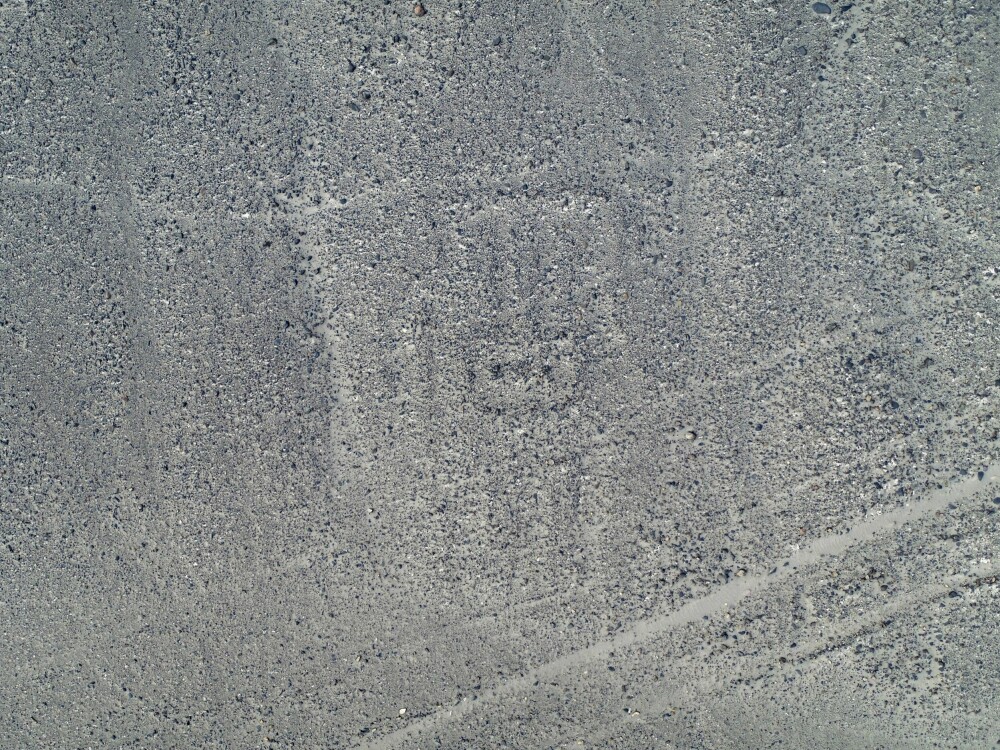 <b>FUNNET AV KUNSTIG INTELLIGENS:</b> Det forhistoriske kunstverket i ørkenen ble avslørt i et samarbeid mellom japanske forskere og IT-giganten IBM. Ved hjelp av kunstig intelligens fant de denne figuren i Nazca-ørkenen.