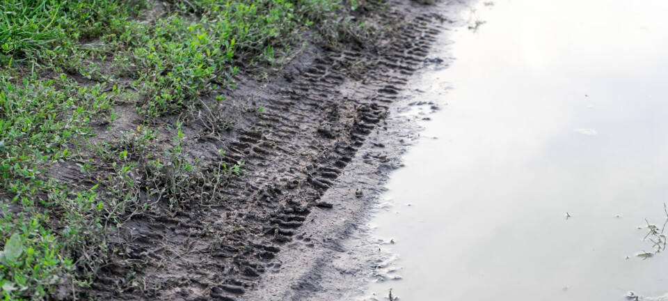 Veien til hytta trenger vedlikehold, men én av naboene vil ikke betale