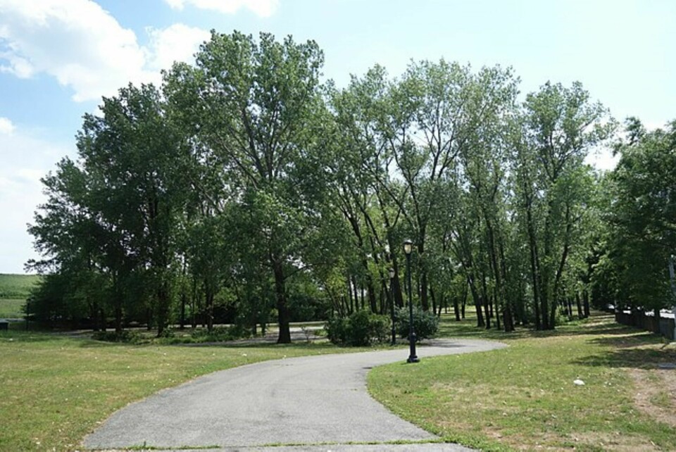 FARLIG PARK: I et øde område av Spring Creek-parken i New York ble Karina Vetrano (30) overfalt og drept mens hun var på joggetur.