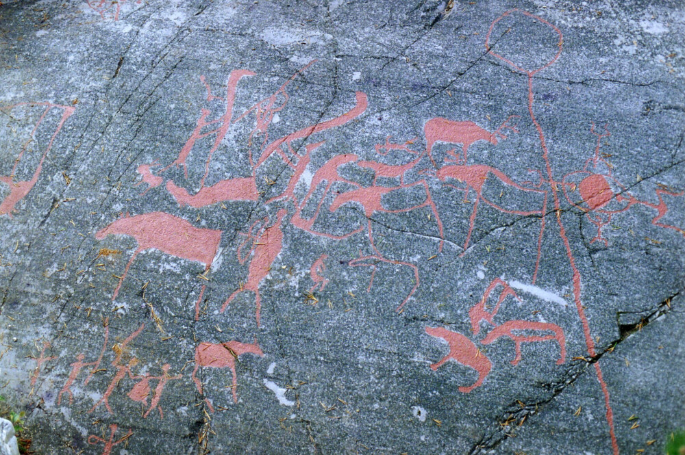 <b>TIDLIG KUNST:</b> Helleristing av villreinjakt i Alta. Scenen ble ristet inn for 8–9000 år siden.