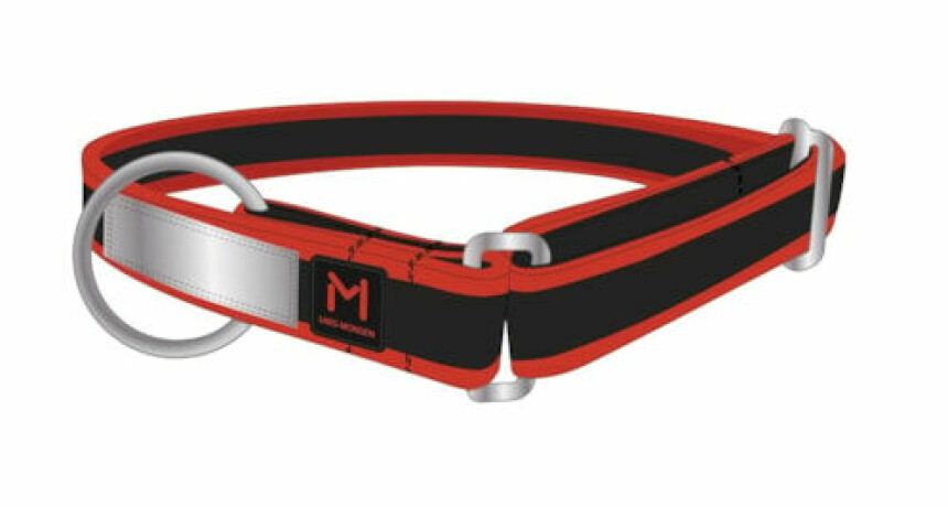 Til hunden: Menneskets beste venn fortjener kanskje også en julegave. Hva med et solid halsbånd fra Lars Monsen. Modellen på bildet heter Levajok Dog Collar. Pris: 199 kr.