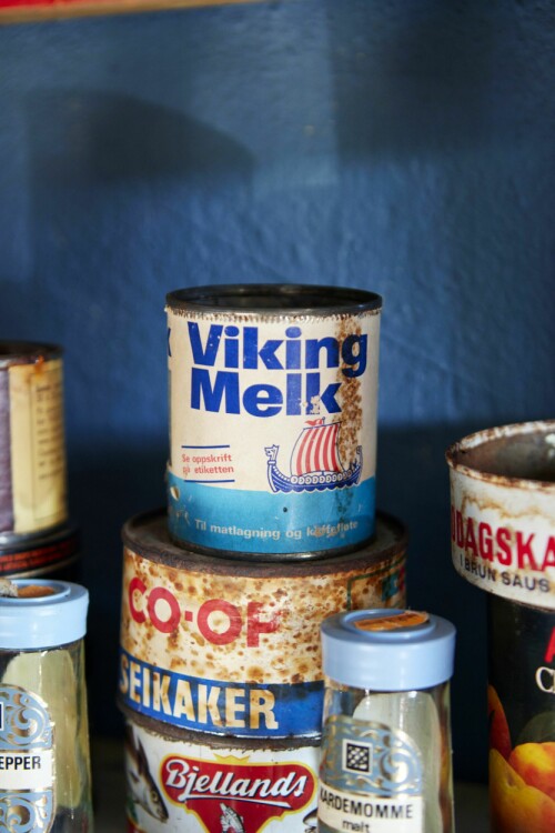 <b>LANG HISTORIE:</b> Viking melk ble utviklet i 1891. Fridtjof Nansen hadde med seg Viking melk på ekspedisjonen til Nordpolen.