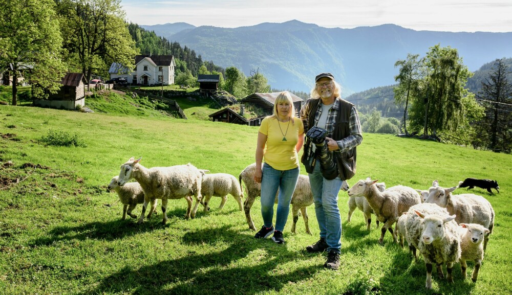 <b>SMÅBRUKER:</b> Jostein Hellevik og Maj-Lena Knudsen er også vanlige bønder og har både sau og høns på småbruket Døli.