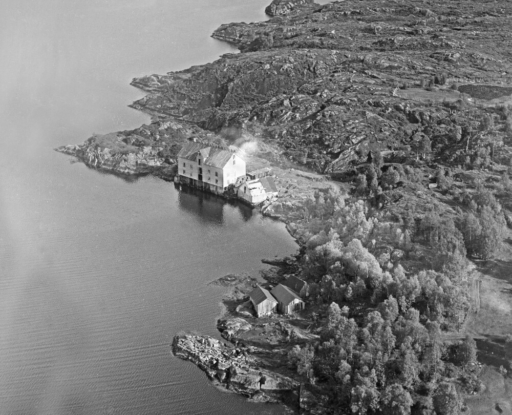 <b>HJEMMEHAVNA:</b> Den lille havna ved røykeriet i Aurvåg på et bilde fra 1950-tallet. Derfra dro Isstjernen til Ålesund for å hente salt. 