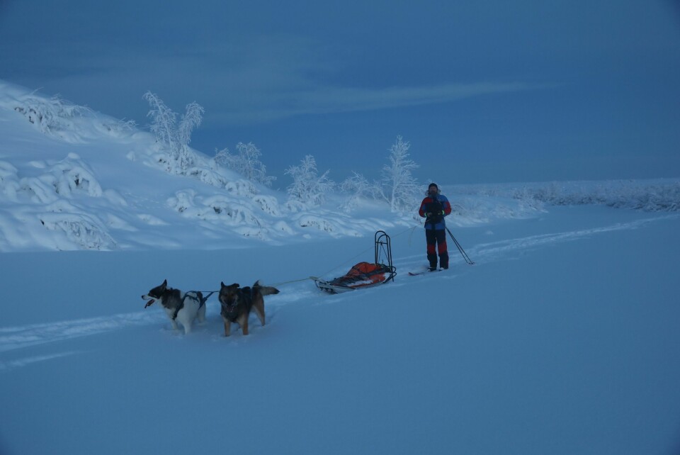 VINTERLAND: Februar byr på flotte stemninger og friske kuldegrader.