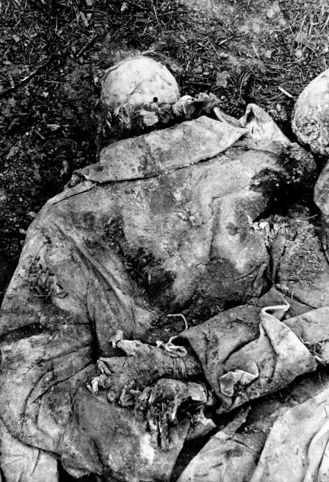 <b>SKUTT I HODET:</b> En av de mange polske ofrene som ble gravd fram med hendene bakbundet og kulehull i bakhodet.