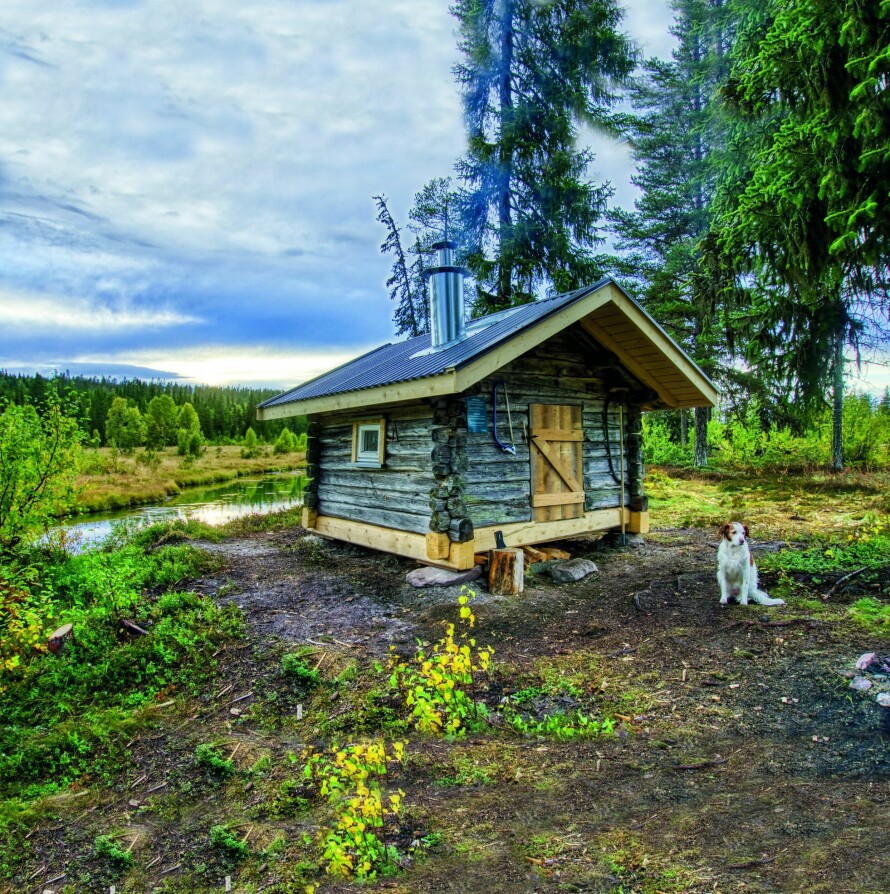 Statskog har over 120 åpne koier og buer over hele Norge. På bildet ser du Fessburet som ligger ved bredden av elva Drevja i Drevdalen i Trysil kommune. Koia ble bygget på slutten av 1800-tallet og ble brukt som hvilebu for driverne i Smorkdalen under slåttonna i jakttider.