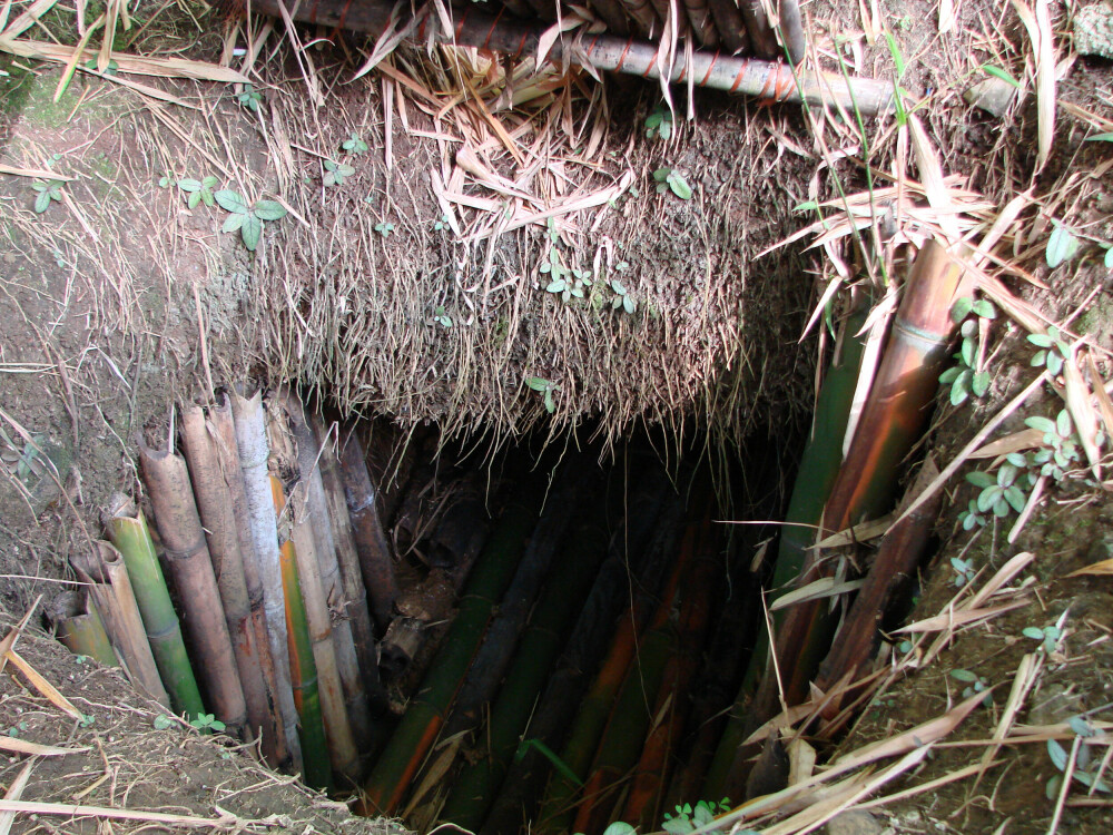<b>HULEN:</b> Med inngang gjennom et bambuskratt lå Shoichi Yokoi i skjul i sin egen hule under skogbunnen på Guam.