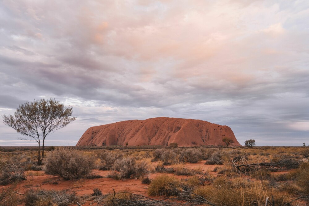 <b>MONOLITT:</b> Uluru, også kjent som Ayers Rock, er en av Australia mest kjente turist­attraksjoner og en av verdens største monolitter. Uluru ligger i Northern Territory og rager 348 meter over bakken. Fjellet er hellig for aboriginene, og fra 2017 ble det innført forbud mot å klatre på Uluru.