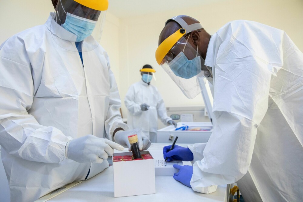<b>SAMLING:</b> Ved 20 minusgrader er mer enn 12 000 prøver av spytt, blod, pels og avføring fra ville dyr lagret for å være tilgjengelig for virologer på CREMER-instituttet i Kameruns hovedstad Yaoundeé.