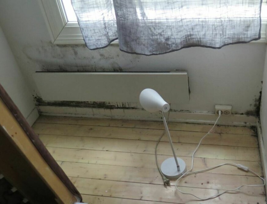 Muggsoppskader på soverommets yttervegg.