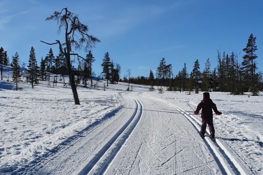 STILLE FØR STORMEN: Skituren begynte bra for trebarnsfamilien ... i 100 meter. Én bitteliten glipp i forberedelsene skulle få uante konsekvenser.