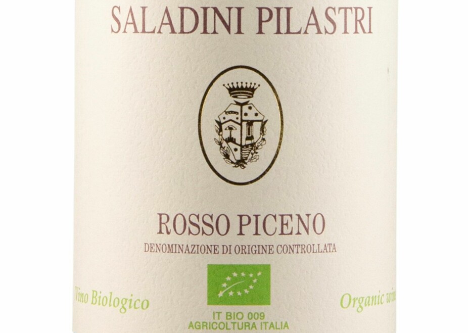 GOOD BUY: Saladini Pilastri Rosso Piceno 2020.