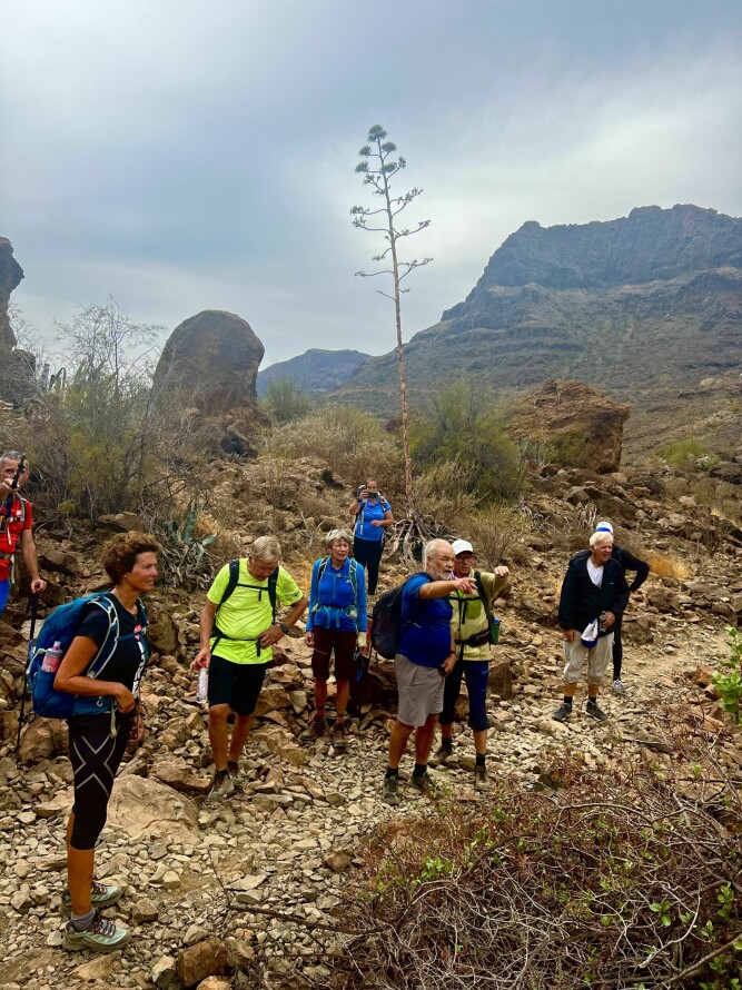 <b>GODT VOKSNE:</b> Langtidsferierende nordmenn er gjengangere på gruppeturene i fjellet på Gran Canaria.