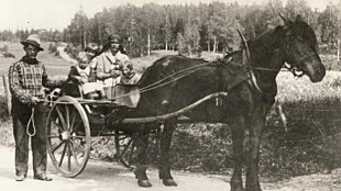<b>REISENDE SLEKT:</b> Peggys besteforeldre med hest og vogn på veien. Slik reiste de rundt fra bygd til bygd for å selge og livnære seg.