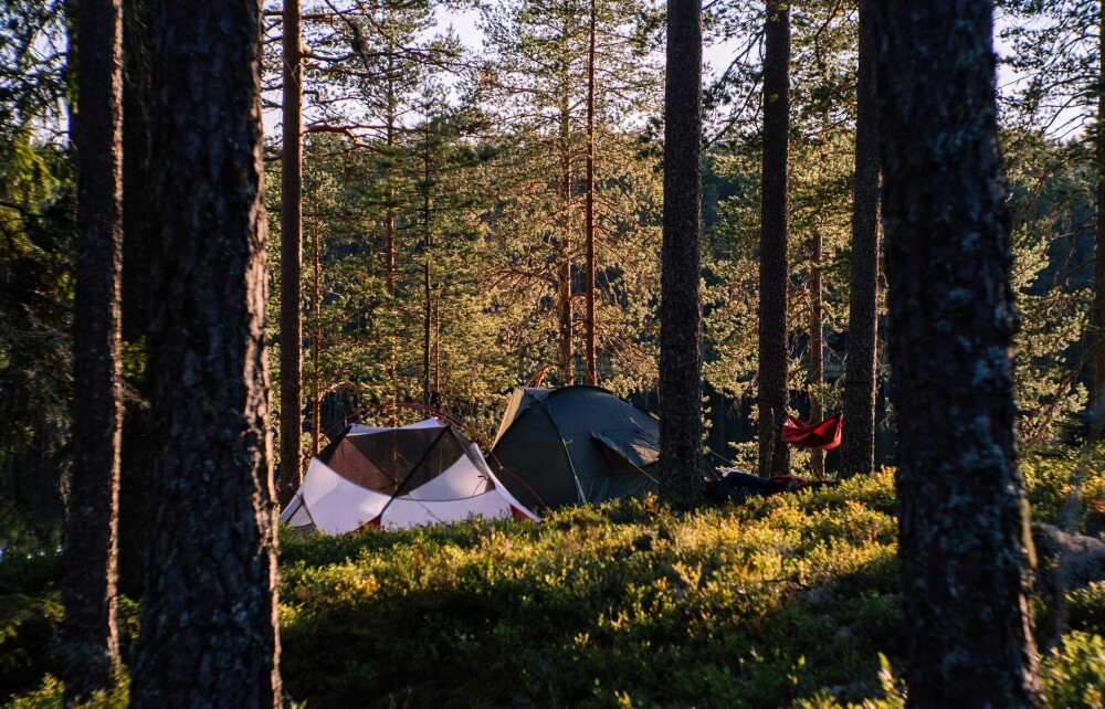 <b>ENEBOERE:</b> Alle tre valgte forskjellige ly for natten – telt, gapahuk og hengekøye. 
