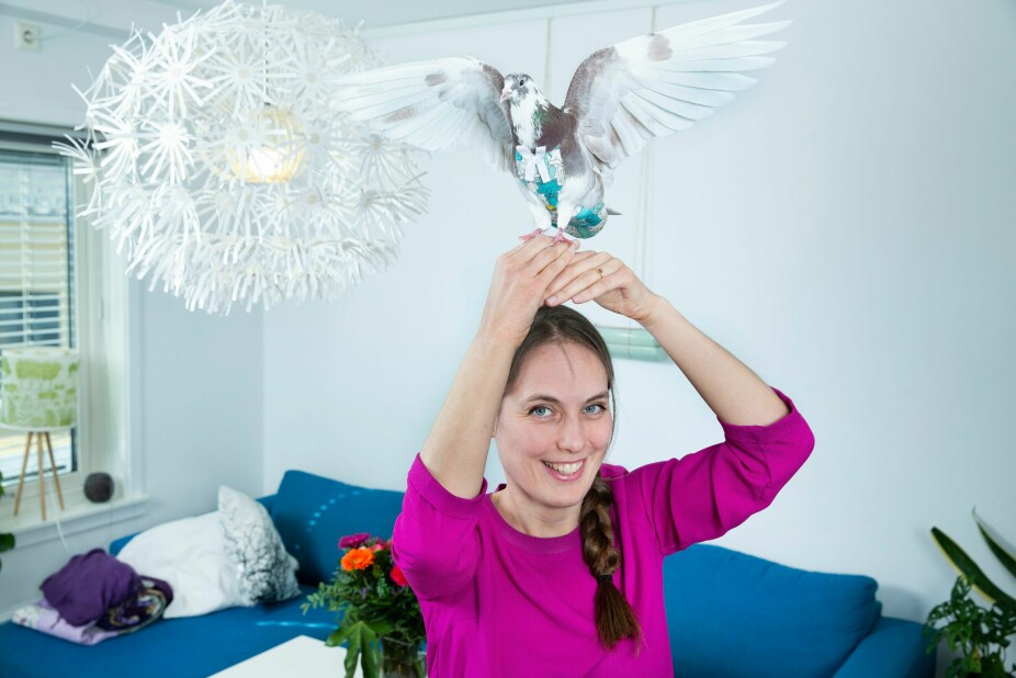 <b>   HEIDI RØNEID:</b> I NRK-serien «Villdyrhjerte» følger vi Heidi mens hun redder skadde og syke duer. Her med duen Joseph, som har på en «flyper», en fuglebleie som samler opp avføringen – samtidig som duen kan fly. For at det ikke skal bli mye duemøkk i leiligheten i Oslo.