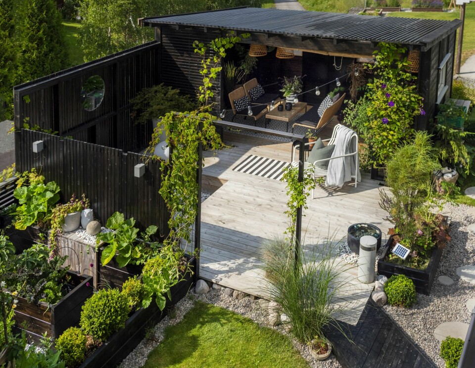 SPENNENDE UTEROM: En villvin klatrer oppover inngangspartiet til terrassen, mens en sort board walk leder over til after work-området. De varierte underlagene er med på å skape spenning i uterommet. Her mikses trykkimpregnerte, sortbeisede terrassebord med plen, grus, dekorkuler og belegningsstein.