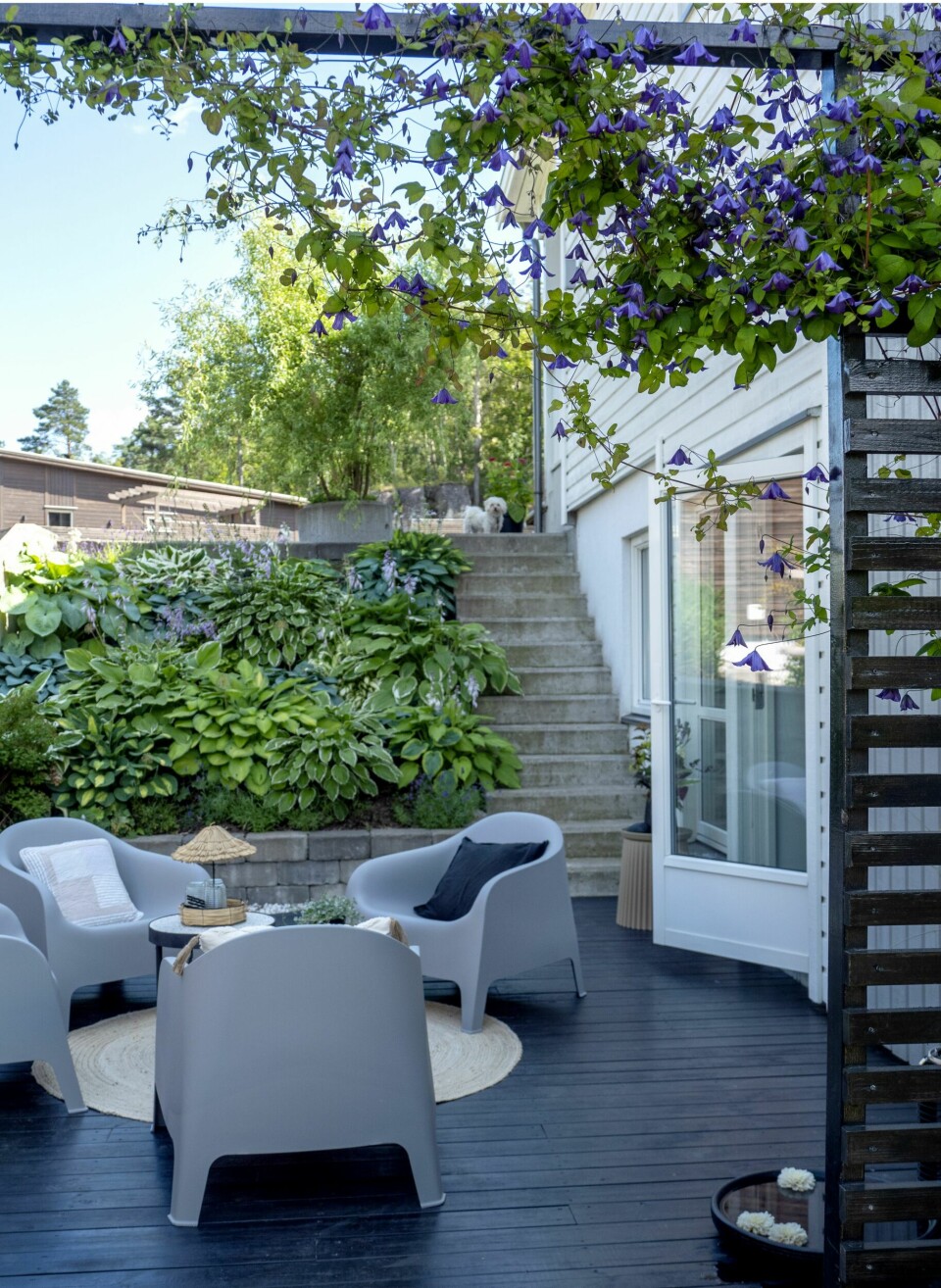 OMKRANSET SITTEGRUPPE: Sitteplassen på nordsiden av huset er omkranset av yndig alpeklematis. Her nyter familien gjerne morgenkaffen i helger og sommerferier. Vannfatet er fra Kremmerhuset og er sprayet sort av Gro Anita.