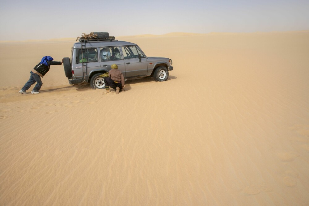 <b>SANDKASSA:</b> Å bevege seg i Saharas enorme sandhav, er på mange måter en hyllest til livet. Her virker alt fullstendig dødt. Men likevel, selv her finnes det liv. Insekter, enkelte hardføre planter og fugler. Mennesker derimot, <br/>har ikke noe her å gjøre.