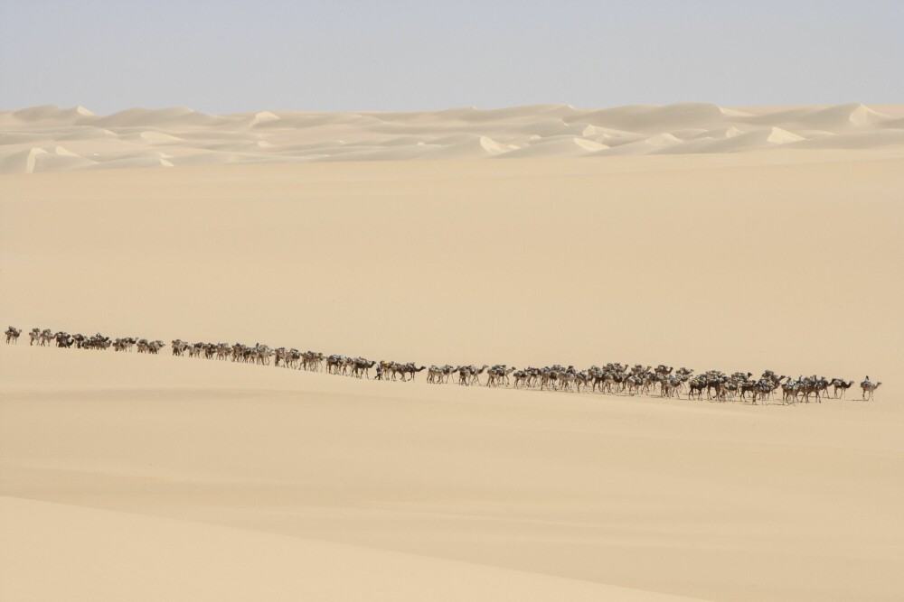 <b>HEI OG HA DET:</b> Midt i et tomt, øde hjørne av ei veldig sandkasse, dukker det plutselig opp en svær kamelkaravane. Selvsagt tok de tid til prat, folkene altså, før de fortsatte på sin to uker lange vandring gjennom ørkenen.