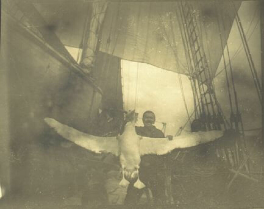 <b>VARIERT KOSTHOLD:</b> Lindstrøm med en albatross på vei mot Antarktis. Han både tilberedte og stoppet ut mye rart. Dette eksemplaret havnet på museum i Oslo. 