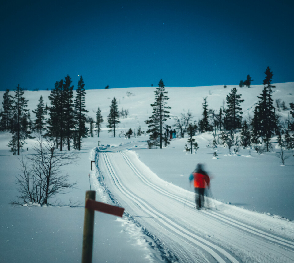 SMITTSOMT: Etter at jeg fant tilbake skigleden ble det mange turer rundt i nærområdet med vennegjengen. Skientusiasme er tydelig smittende, og vi ble alle enige om at ski var en samlende aktivitet.